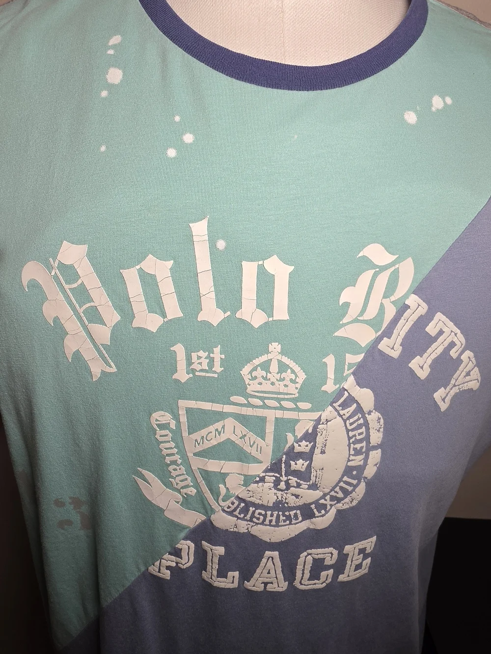 Polo by Ralph Lauren Pastel Colorblock Graphic Crewneck Tee